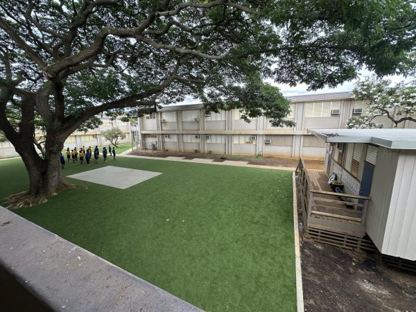 New turf installations transformed previous dirt patches in front of Q-building.